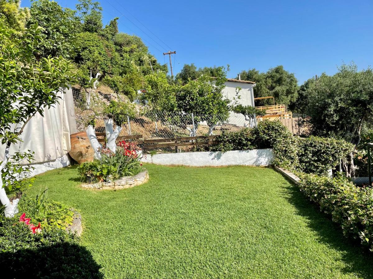 Apartament Alesti House With Garden And Private Access