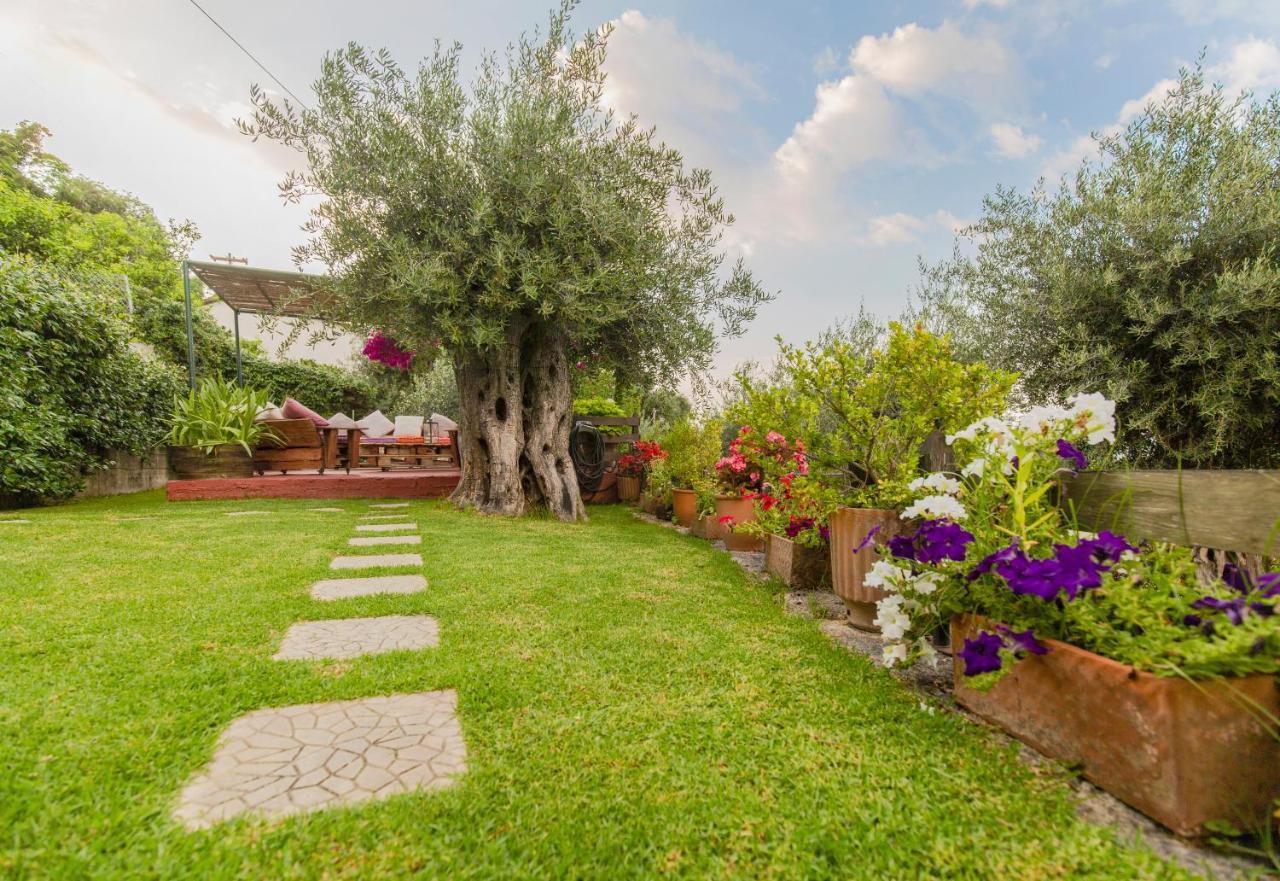 Apartament Alesti House With Garden And Private Access